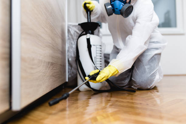 Best Flea Control Services  in Columbia Falls, MT