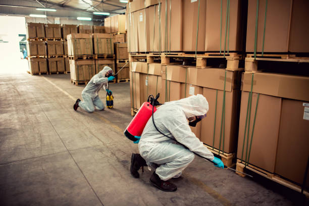 Best Ant Control Services  in Columbia Falls, MT