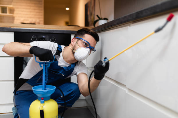 Best Best Pest Control Companies  in Columbia Falls, MT