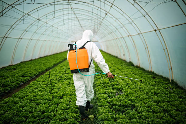 Best Affordable Pest Control Services  in Columbia Falls, MT