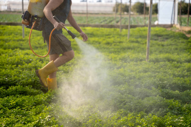Best Residential Pest Control  in Columbia Falls, MT