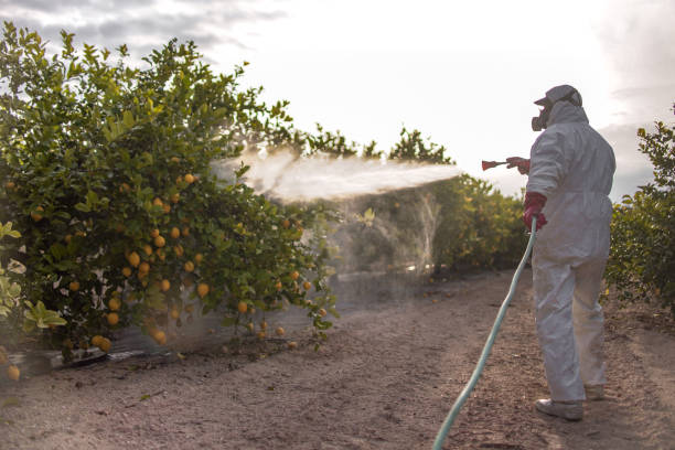 Pest Control for Restaurants in Columbia Falls, MT