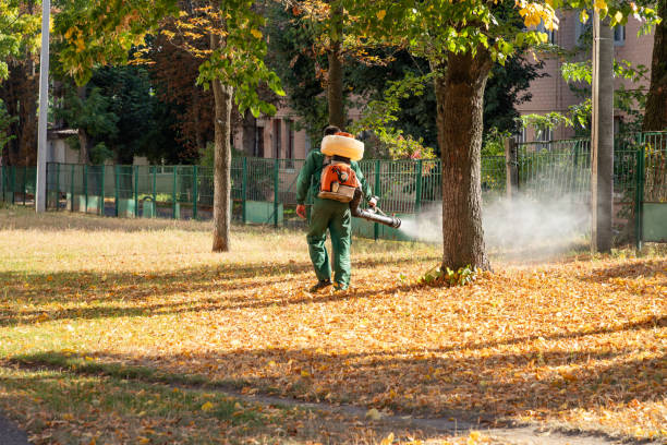 Pest Control Cost in Columbia Falls, MT